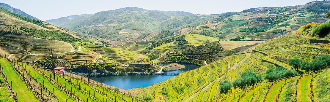 Terraced vineyards line the Douro